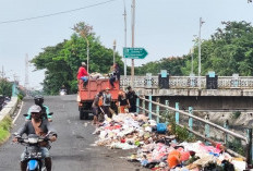 Ironis! Meski Dijaga Satpol PP, Jembatan Pelatuk Donomulyo Tetap Jadi Favorit Tempat Pembuangan Sampah 