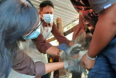 DKP3 Kabupaten Pasuruan Kerahkan 100 Pengawas Hewan Kurban