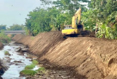 Pemkab Pasuruan Percepat Normalisasi Sungai untuk Cegah Banjir