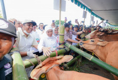 Perangi PMK, Pemprov Jatim Didistribusikan 453 Ribu Dosis Vaksin