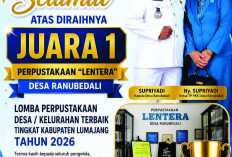 Usung Konsep Membaca Sambil Berwisata, Perpustakaan Lentera Sukses Raih Juara 1 Tingkat Kabupaten Lumajang