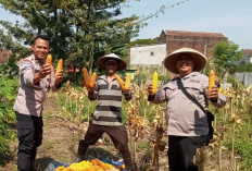 Polsek Blimbing Perkuat Ketahanan Pangan, Dukung Aktivitas Pertanian di Malang