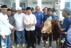 Musda Demokrat Jatim 2026, Emil Dardak Tunggu Keputusan DPP