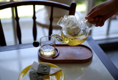 Aps3 SocialHub Kampi Hotel Tunjungan Surabaya Hadirkan Menu Baru Moringa Tea