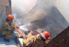 Gegara Obat Nyamuk, Rumah di Jalan Teluk Kumai Barat Terbakar saat Ditinggal Jemput Anak