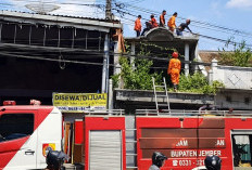 Kejar Layang-Layang di Atap Ruko Jember,  Bocah Kaliwates Meninggal Tersengat Listrik 