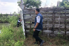 Limbah Tambak di Ujungpangkah Timbulkan Bau dan Ancam Ekosistem Pesisir, DLH Gresik Lakukan Sidak
