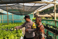 Bhabinkamtibmas Pantau Budidaya Selada Air, Dukung Ketahanan Pangan di Ngawi 