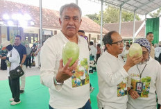 Dipercaya Gubernur Khofifah, Inilah Sosok Aftabuddin Rijaluzzaman Jabat Plt Kadis ESDM Jatim