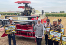 Jatim Salurkan 341 Alsintan, Produksi Padi Tembus 10,24 Juta Ton di Mojokerto