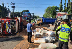 Kecelakaan Tunggal, Truk Serbuk Kayu Terguling di Depan Pos Lantas Situbondo