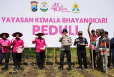 Polres Bojonegoro dan YKB Gandeng Perhutani Optimalkan Lahan Hutan