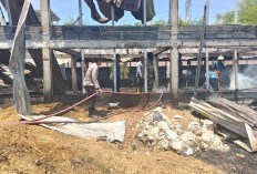 Korsleting Listrik Hanguskan Kandang di Mantup Lamongan, 12 Ribu Ayam Terpanggang