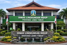 Kantor DLH Jatim Dikabarkan Digeledah Kejati, Kepala Dinas Pastikan Tidak Ada