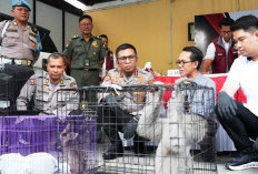 Polresta Sidoarjo Ungkap Perdagangan Satwa Dilindungi Antarnegara