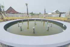 DPRKP-CK Lamongan Gandeng CV Alvira Cipta Lestari Perkuat Penataan Landscape Kawasan Gajah Mada