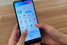 Cek Status JKN Cukup Gunakan Mobile JKN dan PANDAWA