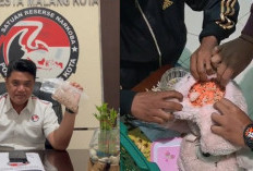 Polresta Malang Kota Amankan 1.461 Ekstasi, 111 Ribu Pil LL, dan  Sabu 45,26 Gram yang Disimpan di  Boneka