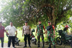 Polsek Lakarsantri Bersama Tiga Pilar Pantau Ketahanan Pangan di Bangkingan