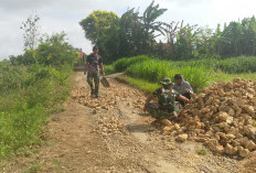 Kerja Cepat Satgas TMMD, 500 Meter Dasar Jalan Mandala Tuntas dalam Hitungan Hari