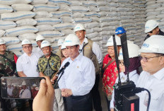 Tak Lagi Impor, Mentan Amran: Stok Beras Melimpah, Gudang Bulog Overload