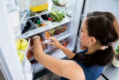 Anak Kos Wajib Tahu! Ini 7 Tips Menyimpan Stok Sayuran agar Tahan Lama dan Tetap Segar