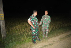 Dansatgas TMMD 127 Sumenep Turun Malam Pantau Pembangunan Jalan