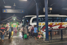 Daftar Tarif Bus Lebaran 2026 di Terminal Purabaya, Rute Dekat hingga Antar Kota