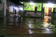 Jember Berduka: Korban Banjir Melonjak ke 7.249 KK, 3 Jembatan Putus Total