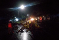 Polsek Balongbendo Evakuasi Pohon Tumbang, Arus Lalu Lintas Kembali Lancar