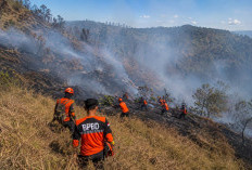 Akses Bromo dari Senduro Ditutup Sementara Akibat Karhutla, Keselamatan Pengunjung Jadi Prioritas