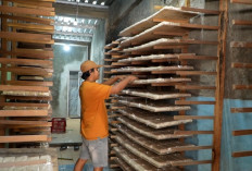 Berkat Program MBG, Usaha Tempe di Sukoharjo Naik 100 Persen dan Buka Lapangan Kerja Baru