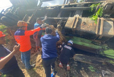 Truk Tangki Tetes Tebu Rem Blong, Sopir Tewas dalam Kecelakaan di Jalinbar Kepanjen