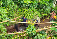 Duka di Ponpes Jember, Pesilat Muda Ditemukan Tewas Tergantung Sabuk Perguruan di Tepian Sungai
