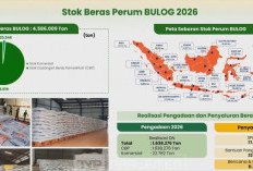 Cadangan Beras Nasional Tertinggi Sepanjang Sejarah, Pemerintah Siap Hadapi El Nino