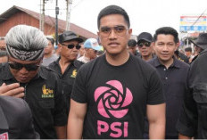PDIP:  'Ngapain Ngurusin' Soal Rencana Kaesang Maju Calon DPR RI di Dapil Puan