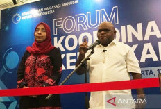 Menteri HAM Minta Informasi Konflik Papua Diverifikasi, Soroti Dominasi Narasi di Media Sosial