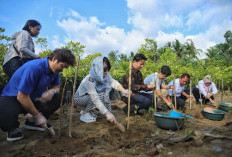 Delegasi Korea Selatan Kunjungi Trenggalek, Kagumi Potensi Wisata dan Inovasi Penanganan Kemiskinan