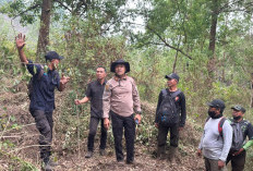 Cegah Karhutla Meluas, Kapolres Ngawi Cek Langsung Titik Api di Gunung Lawu