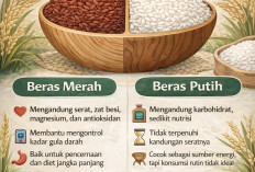 Beras Merah vs Beras Putih, Mana Lebih Baik untuk Kesehatan Jangka Panjang