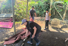 Polisi Bongkar Arena Sabung Ayam di Karangploso Malang