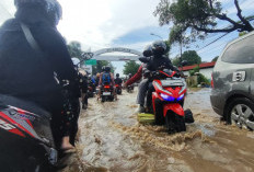 Jalur Pantura Kota Pasuruan Masih Lumpuh Terendam Banjir