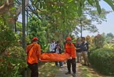 Pemuda Gantung Diri di Pohon Mangga Sungai Jagir, Tinggalkan Tas Berisi Mi Instan