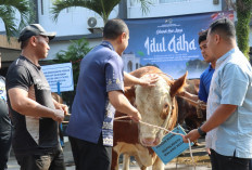 Polresta Malang Kota Distribusikan Ribuan Kilogram Daging Kurban untuk Masyarakat