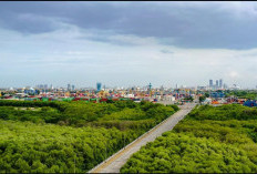 TPS Tambah Ruang Terbuka Hijau, Perkuat Ekosistem Pelabuhan Berkelanjutan