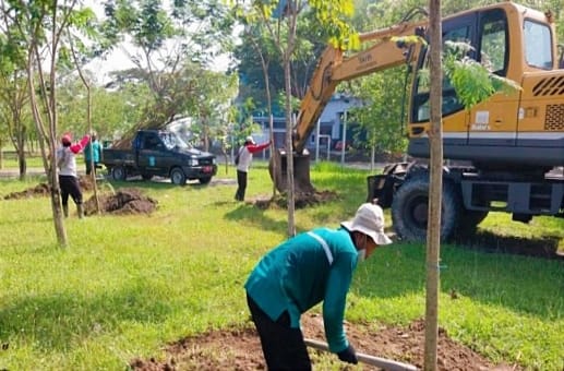 Cegah Global Warming, DLH Surabaya Tanam 1000 Pohon Setiap Hari