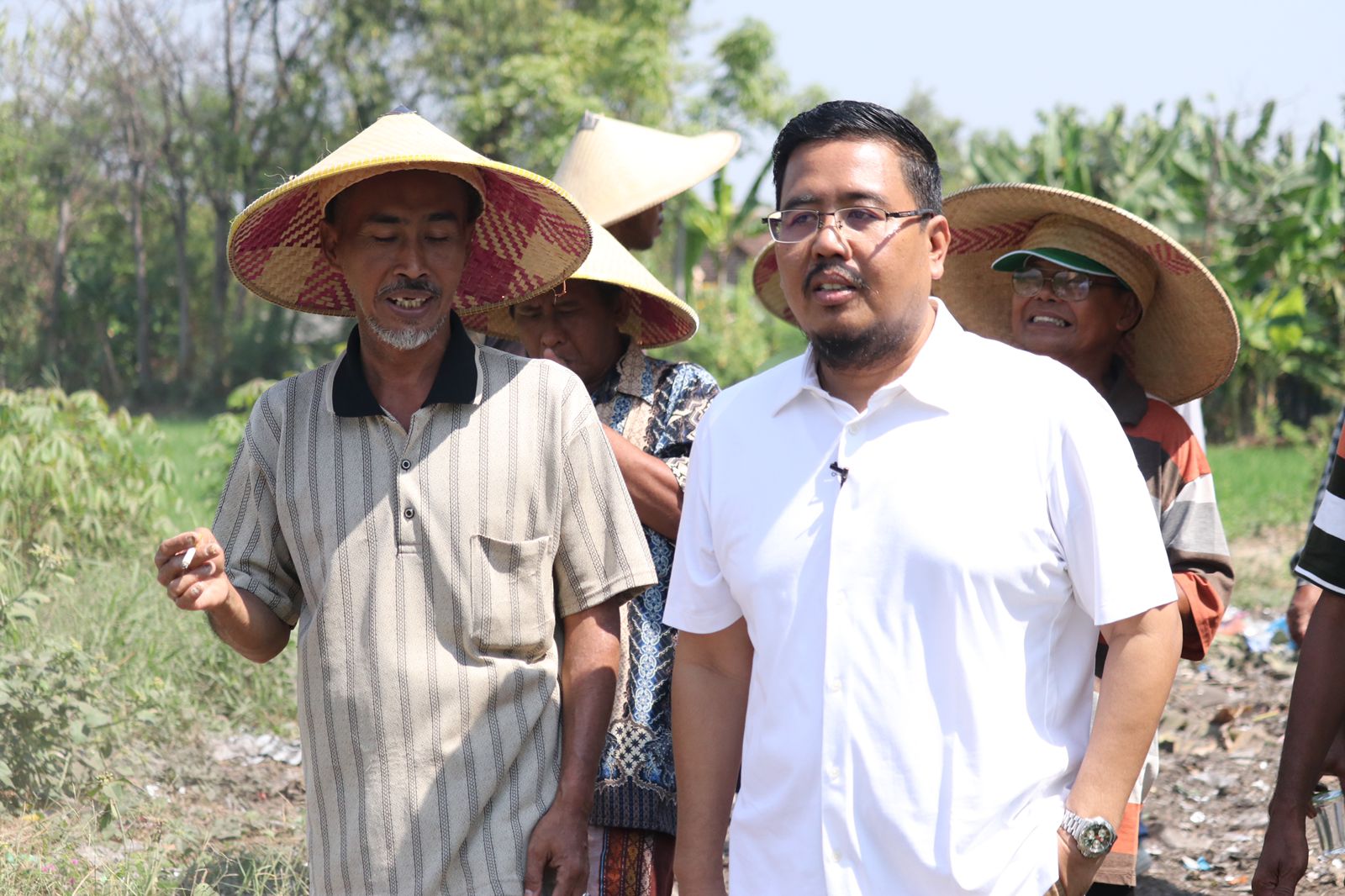 Petani Sambat Pupuk Langka dan Harga Gabah Anjlok