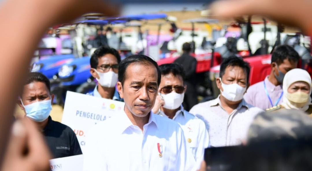 Di Gresik, Presiden Jokowi Luncurkan Food Estate Mangga