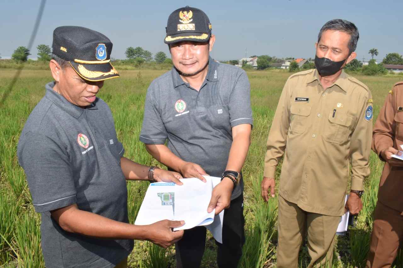 Training Ground Gajah Mada Siap Dibangun