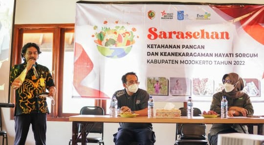 Yayasan Esa Khatulistiwa Kenalkan Budidaya Sorgum ke Petani